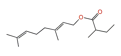 (E)-3,7-Dimethyl-2,6-octadienyl 2-methylbutanoate